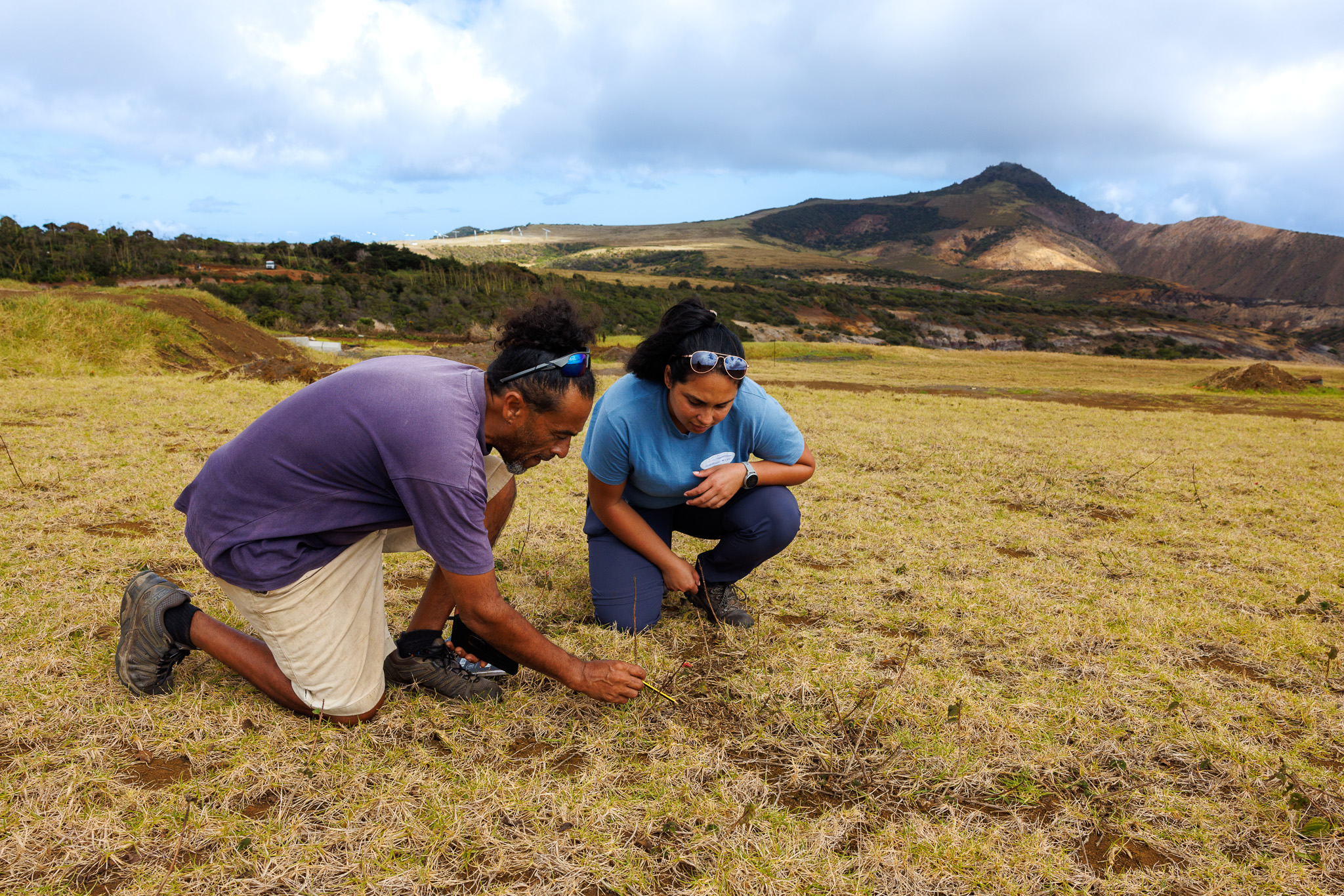 Two people kneel on grassy ground, examining plants in a field with hills and blue sky in the background.